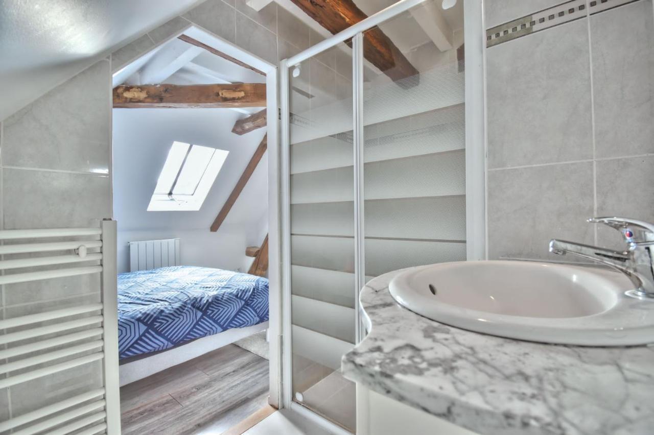 Superbe Appartement Centre-Ville Nogent-le-Roi 外观 照片